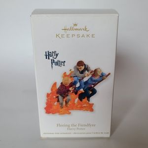 2011 Harry Potter Fleeing the Fiendfyre Hallmark Keepsake Ornament ⚡️